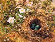 Hill, John William Bird's Nest and Dogroses oil painting artist
